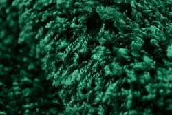 Carpet SOFFI shaggy 5cm bottle green