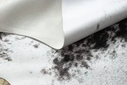 Carpet Artificial Cowhide, Cow G5074-1 white brown Leather