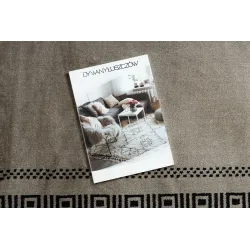 AMOUR 53098A rug with an elegant design, made from high-quality materials