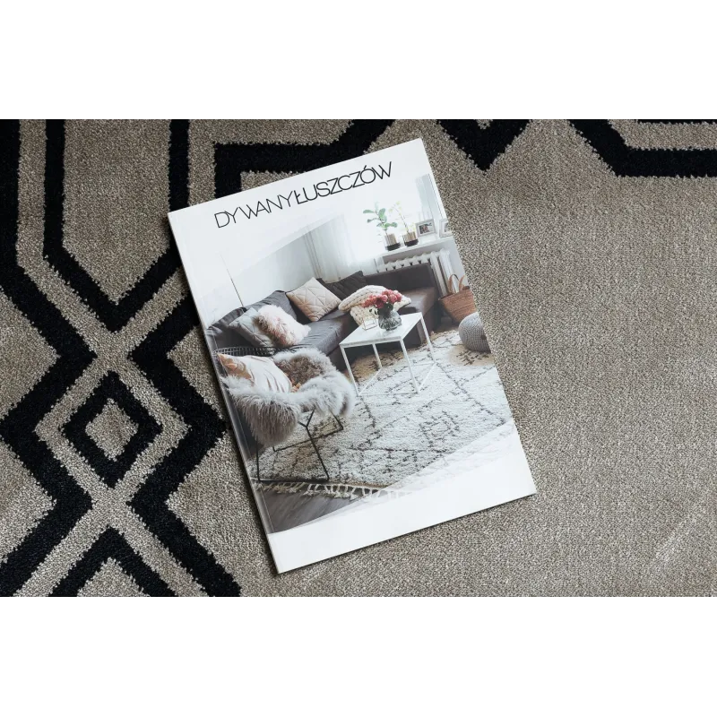 AMOUR 53071A beige modern rug, suitable for garden or patio