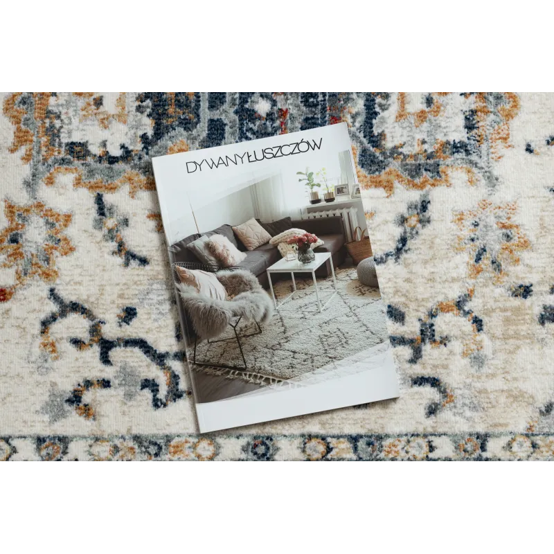 Rug DISTIN 0834A with a modern ornament, perfect for the living room