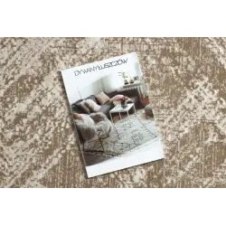 DUKE 51541 beige rug, modern style, perfect for any interior