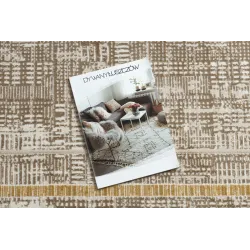 Stylish DUKE 51523 rug in beige and gold, perfect for contemporary interiors