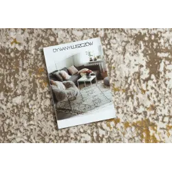 Stylish DUKE 51546 rug in beige and gold, perfect for the living room