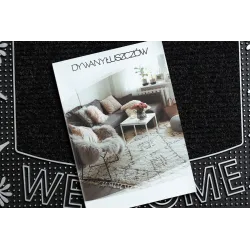 Modern Welcome Doormat BH 224W in silver, stylish for any entrance