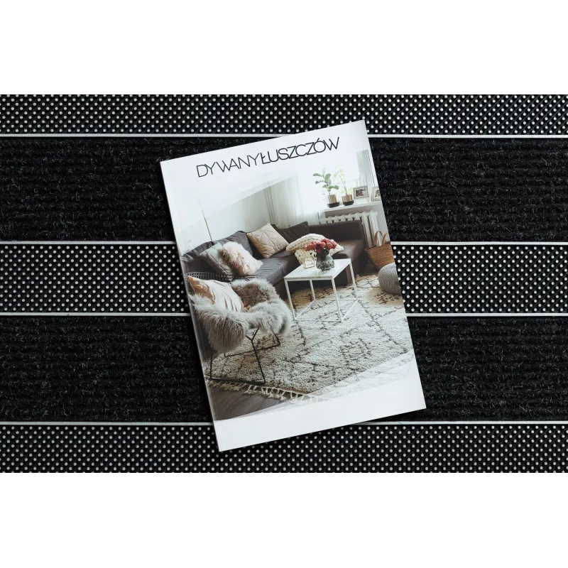 Door Mat BH 229 Stripes, stylish silver design for home and outdoor areas