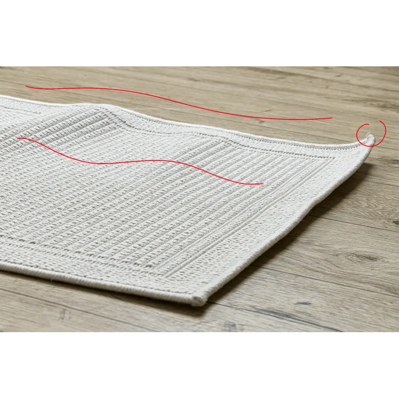 TIMO 5979 Sisal Outdoor Runner Rug