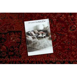 Soft and elegant ORIENT Y307 rug, perfect for the living room