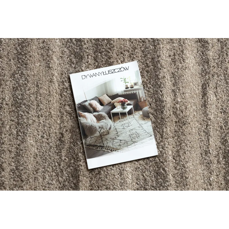 FUSION 8893 rug in elegant beige, perfect for contemporary interiors