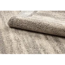 FUSION 8893 rug, perfect for living room or bedroom, modern style