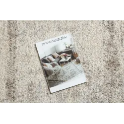 Cream and beige FUSION 8255 rug - elegant vintage style