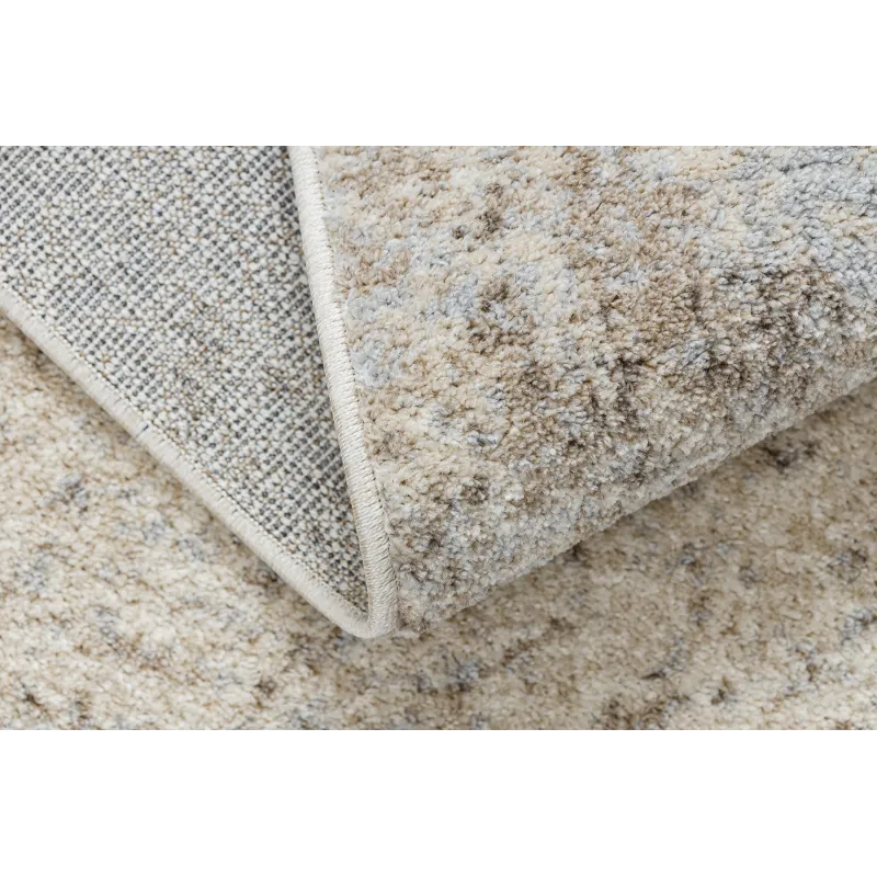 FUSION 8255 rug perfect for living room or bedroom - vintage style