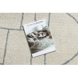 FUSION 0806 rug with a modern pattern, soft and pleasant to touch