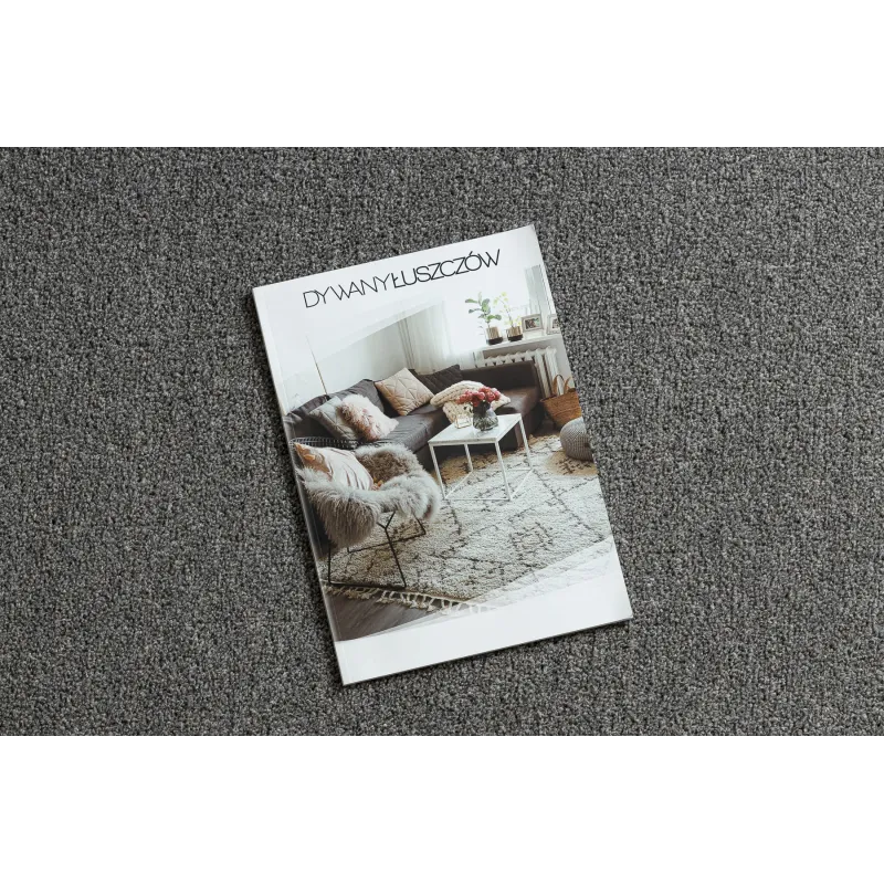 Solid light gray ETON PLUS rug, contemporary style