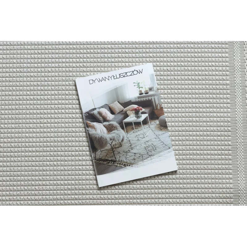 TIMO 5979 Outdoor Sisal Rug with Border