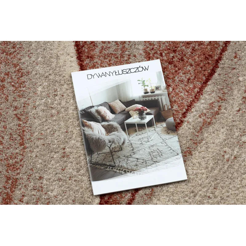 Modern rug in beige and terracotta shades, stylish home accent