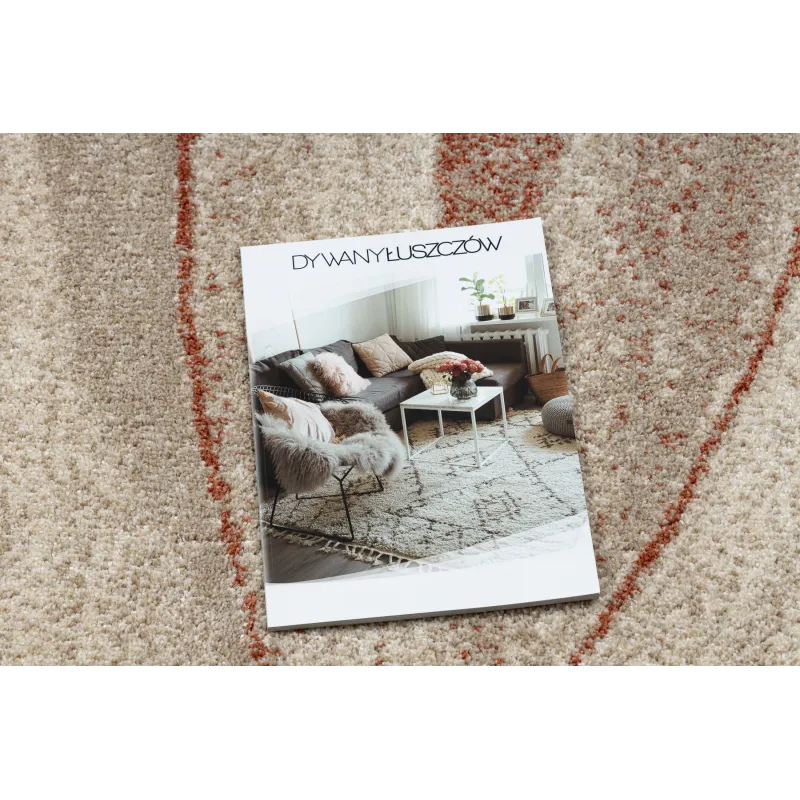 Modern FUSION 1617 rug in cream and terracotta style