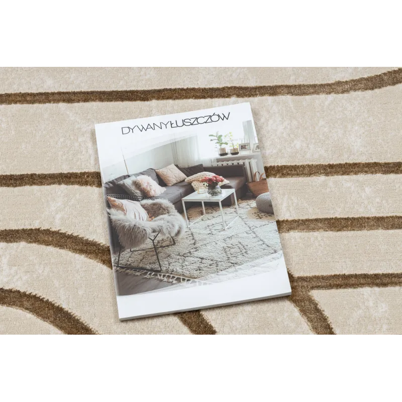 Stylish ALLURE 5756 rug in beige tones, modern design