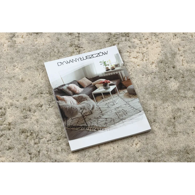 Stylish green and beige FLUX rug 461.121.SA991 for modern interiors